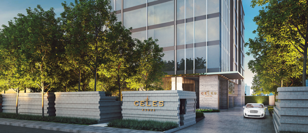 0001344_w_celes-asoke_600.png