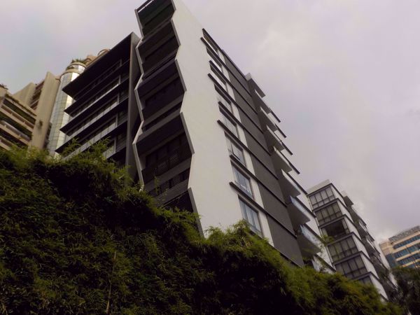 0007262_w_domus-16_600.jpeg