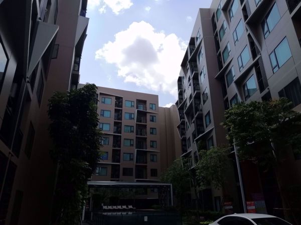 0011019_w_condolette-pixel-sathorn_600.jpeg