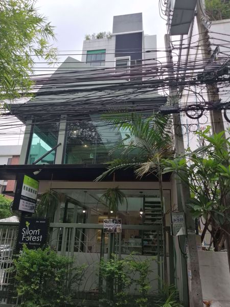0009509_w_silom-forest_600.jpeg