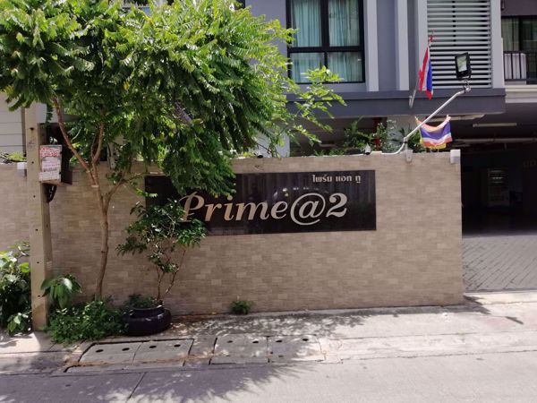 0021140_w_prime2_600.jpeg